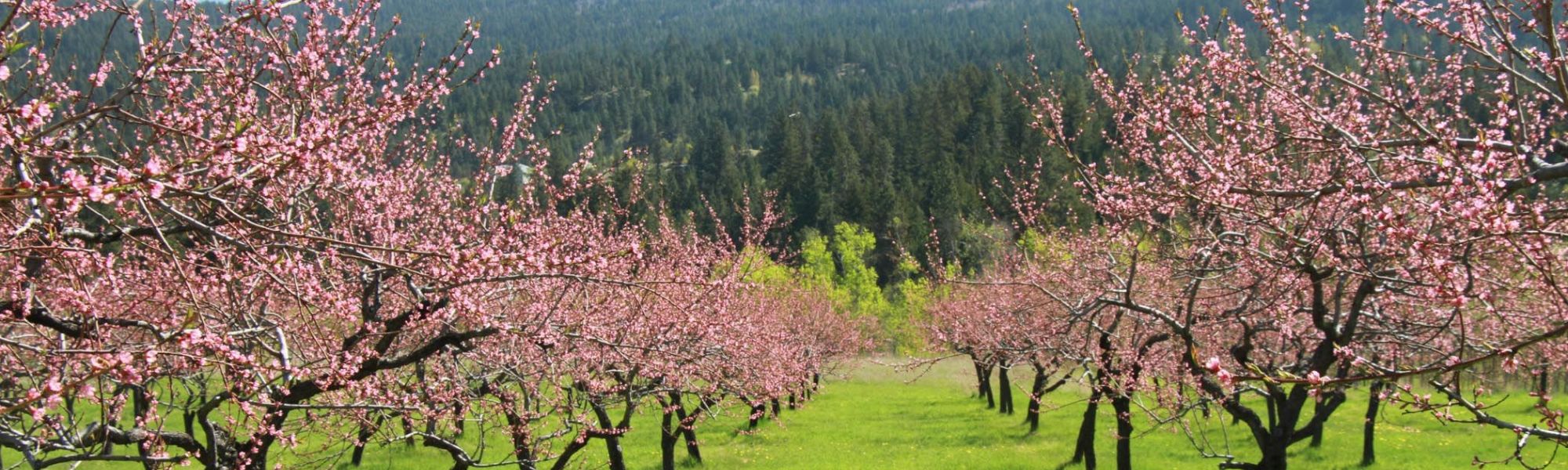 Local Residential Real Estate Market Activity Picks Up Heading into Spring Local Residential Real Estate Market Activity Picks Up Heading into Spring